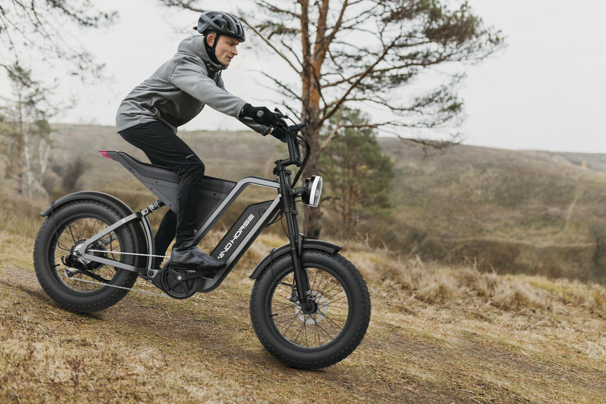 Windhorse D3 Electric Bike