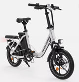 Windhorse W2B  Folding Electric Bike